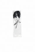 Thin Craft Feathers for Fascinator Making – Millinery Decoration (6 Pack)