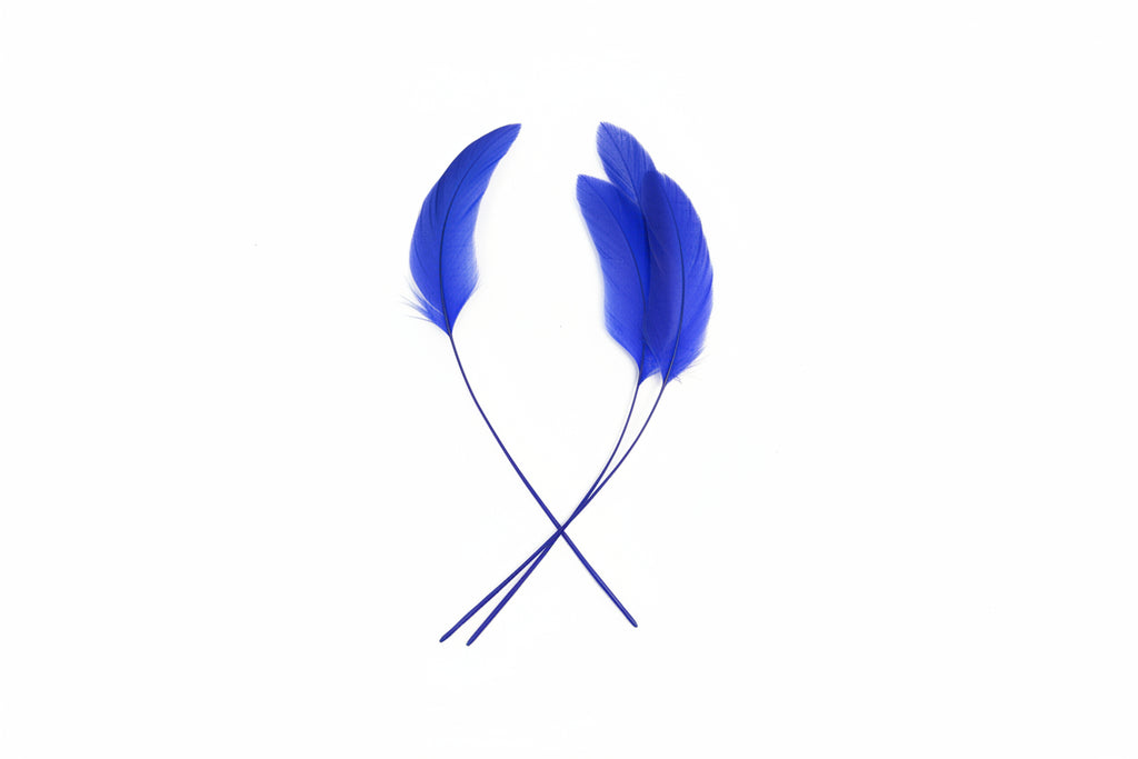 Thin Craft Feathers for Fascinator Making – Millinery Decoration (6 Pack)