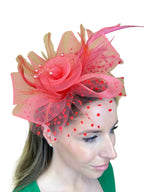 medium two coloured fascinator