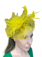 medium two coloured fascinator